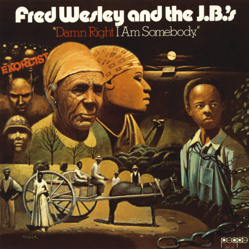 [18645] Fred Wesley & The JB's - Damn Right I Am Somebody (LP)