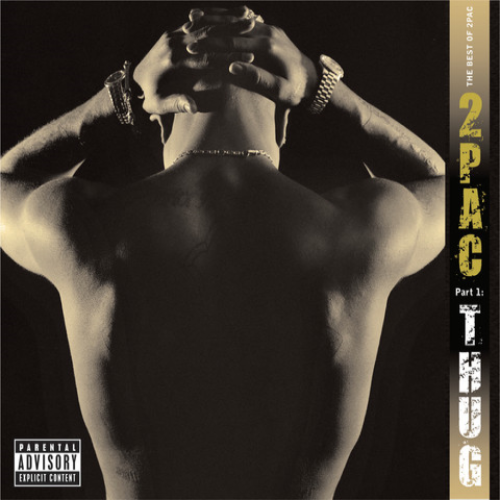 [49595] 2Pac - The Best Of 2Pac - Part 1: Thug (2LP)