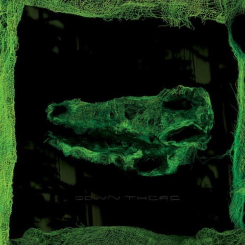 [5119] Avey Tare - Down There (LP)