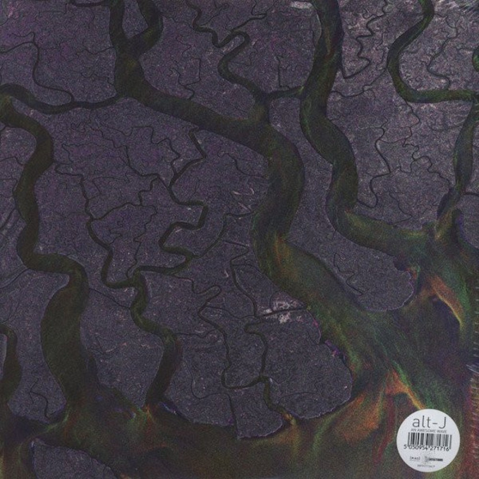 [31187] Alt-J - An Awesome Wave (LP)
