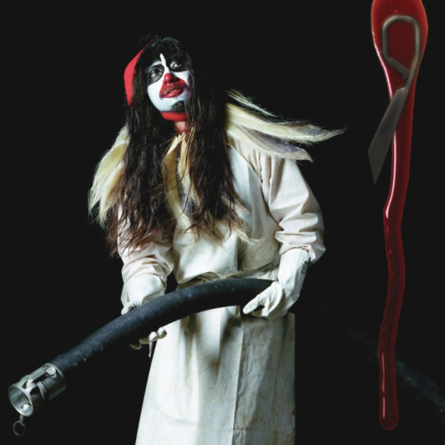 [381] Björk - The Music From Matthew Barney's Drawing Restraint 9 (LP)