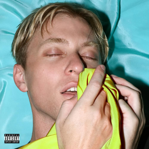 [40967] The Drums - Brutalism (LP)