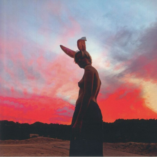 [51376] Biig Piig - The Sky Is Bleeding (12")