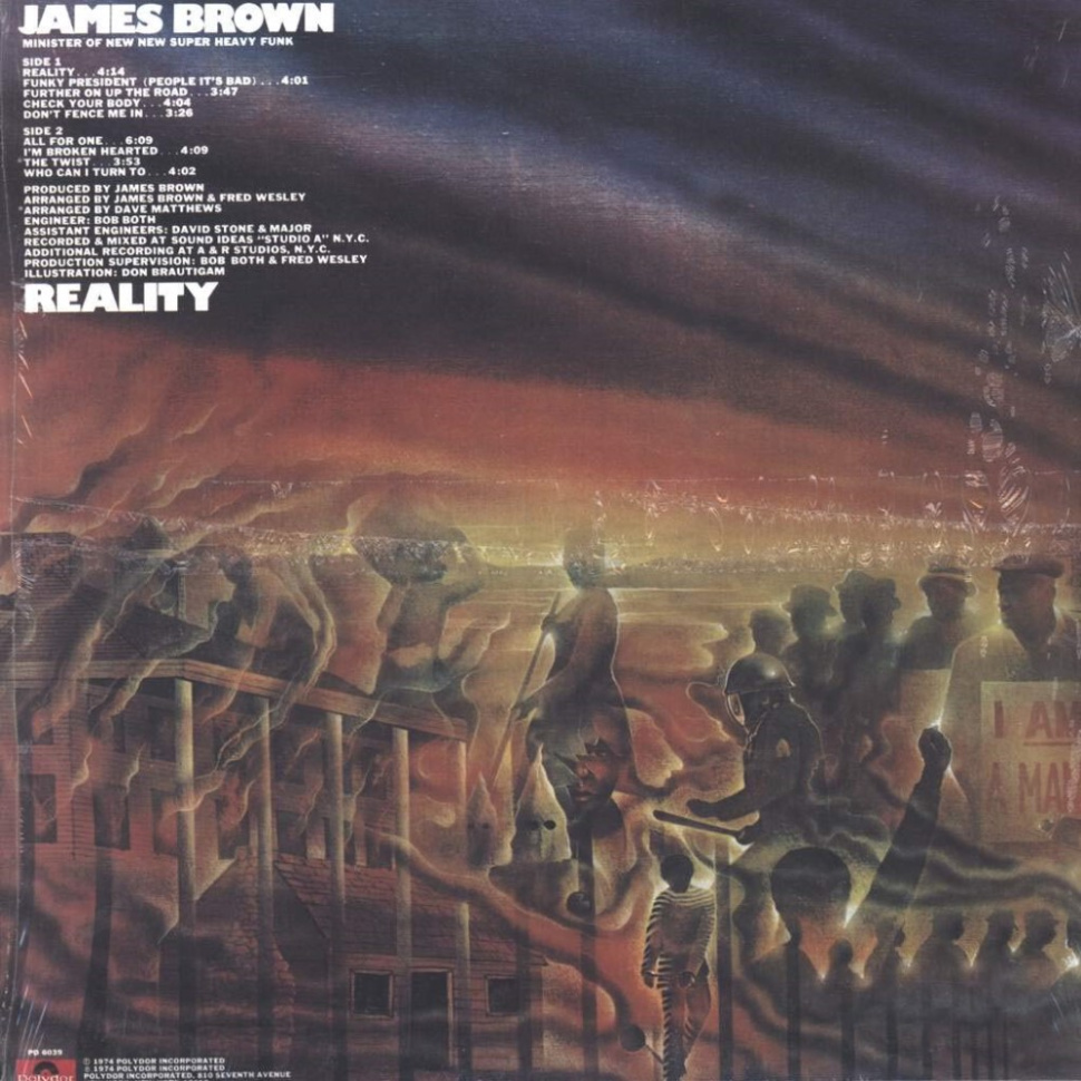 [817] James Brown - Reality (LP)