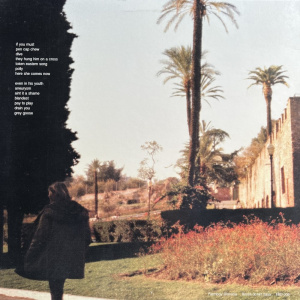 [60798] Nirvana - At The End Of Lonely Street (LP)