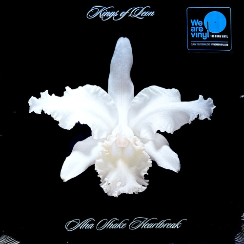 [46266] Kings Of Leon - Aha Shake Heartbreak (2LP)