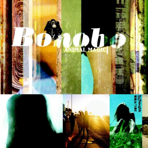[69289] Bonobo - Animal Magic (2LP)