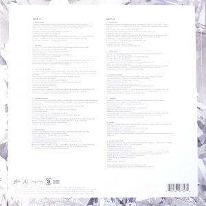 [1685] Drake & Future - What A Time To Be Alive (LP)
