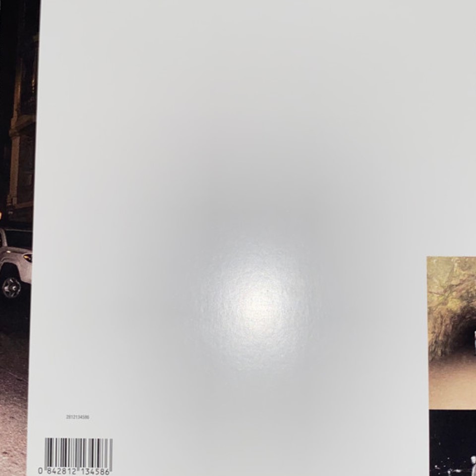 [57897] JPEGMAFIA - Living Single (7" | White)