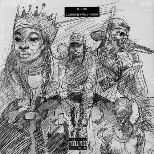 [55299] Little Simz - A Curious Tale Of Trials + Persons (LP)