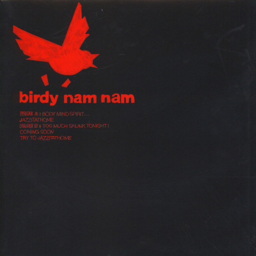 [17136] Birdy Nam Nam - Body Mind Spirit (12")