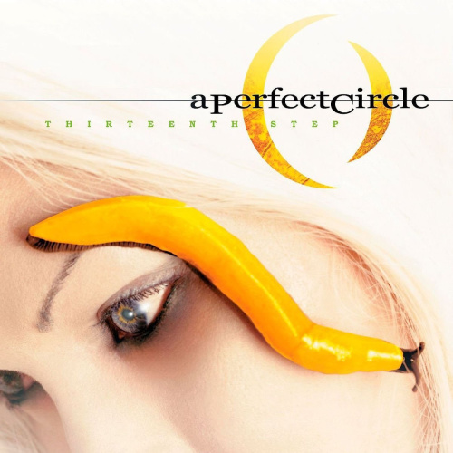 [53] A Perfect Circle - Thirteenth Step (2LP)