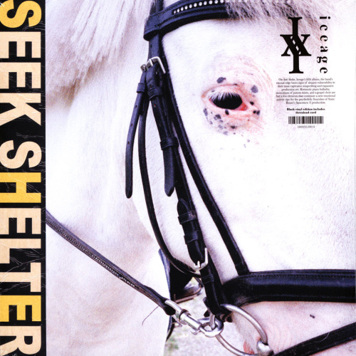 [52014] Iceage - Seek Shelter (LP)