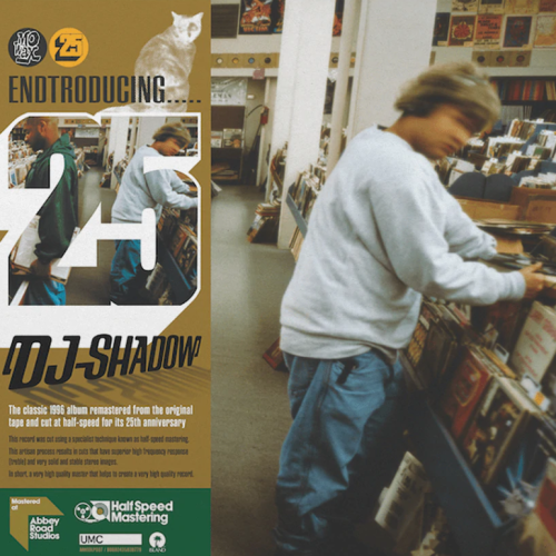 [54438] Dj Shadow - Endtroducing..... 25 (2LP)
