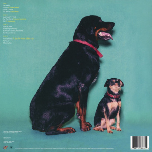 [28040] The Internet - Ego Death (2LP)