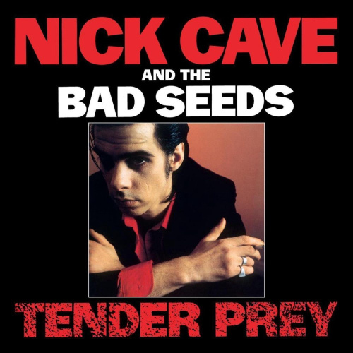[60446] Nick Cave & The Bad Seeds - Tender Prey (LP)