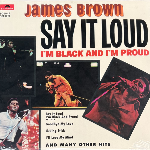 [19703] James Brown - Say It Loud - I'm Black And I'm Proud (LP)