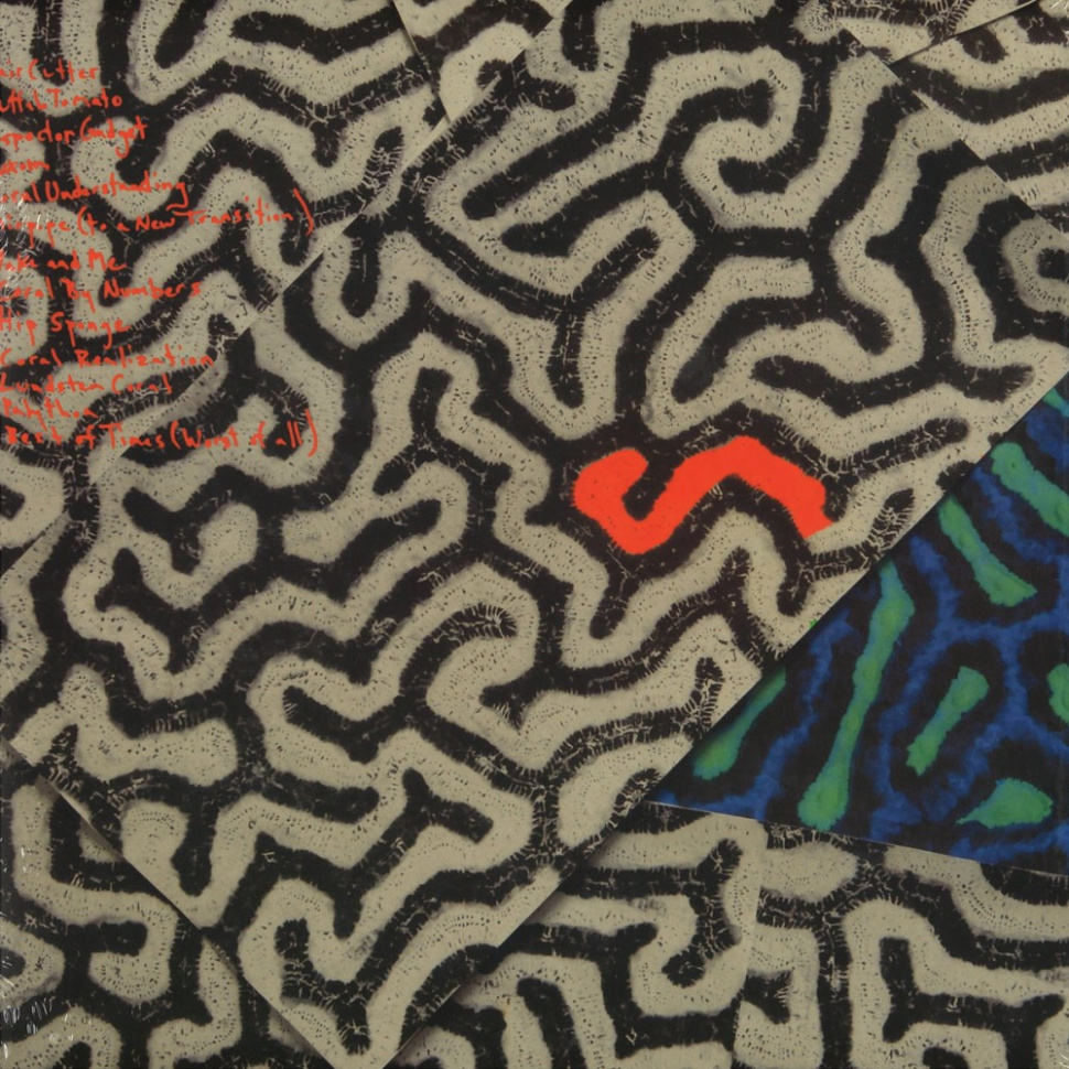 [6055] Animal Collective - Tangerine Reef (2LP)
