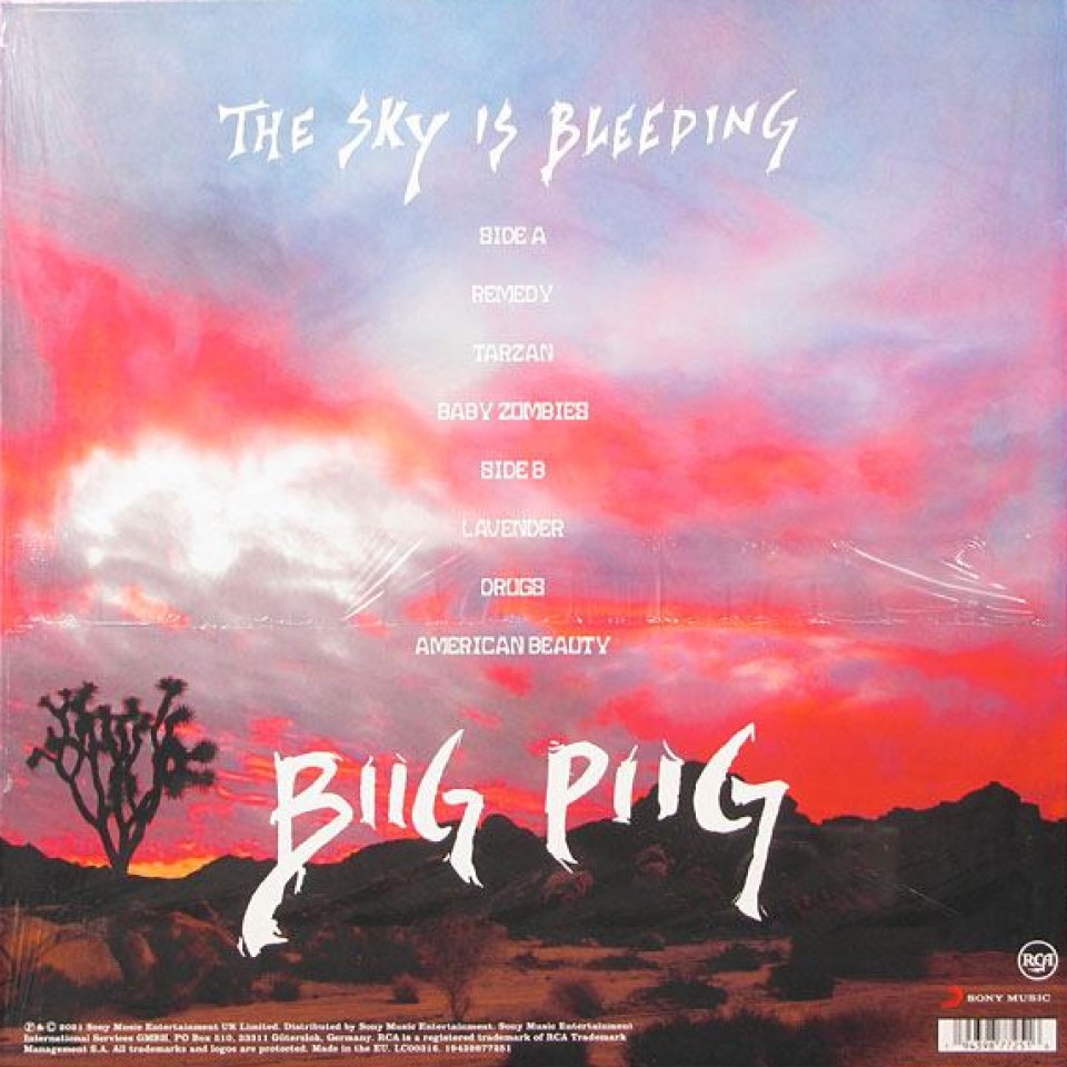 [51376] Biig Piig - The Sky Is Bleeding (12")