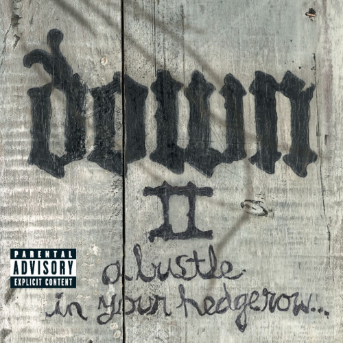 [8516] Down - Down II (A Bustle In Your Hedgerow) (2LP)