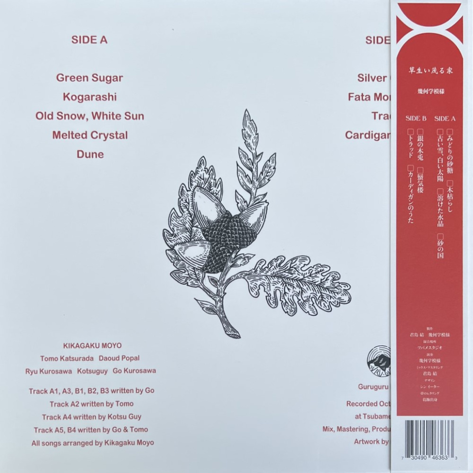 [71039] Kikagaku Moyo - House in the Tall Grass (LP)
