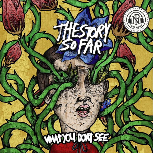 [70506] The Story So Far - What You Don't See (LP | Random color)