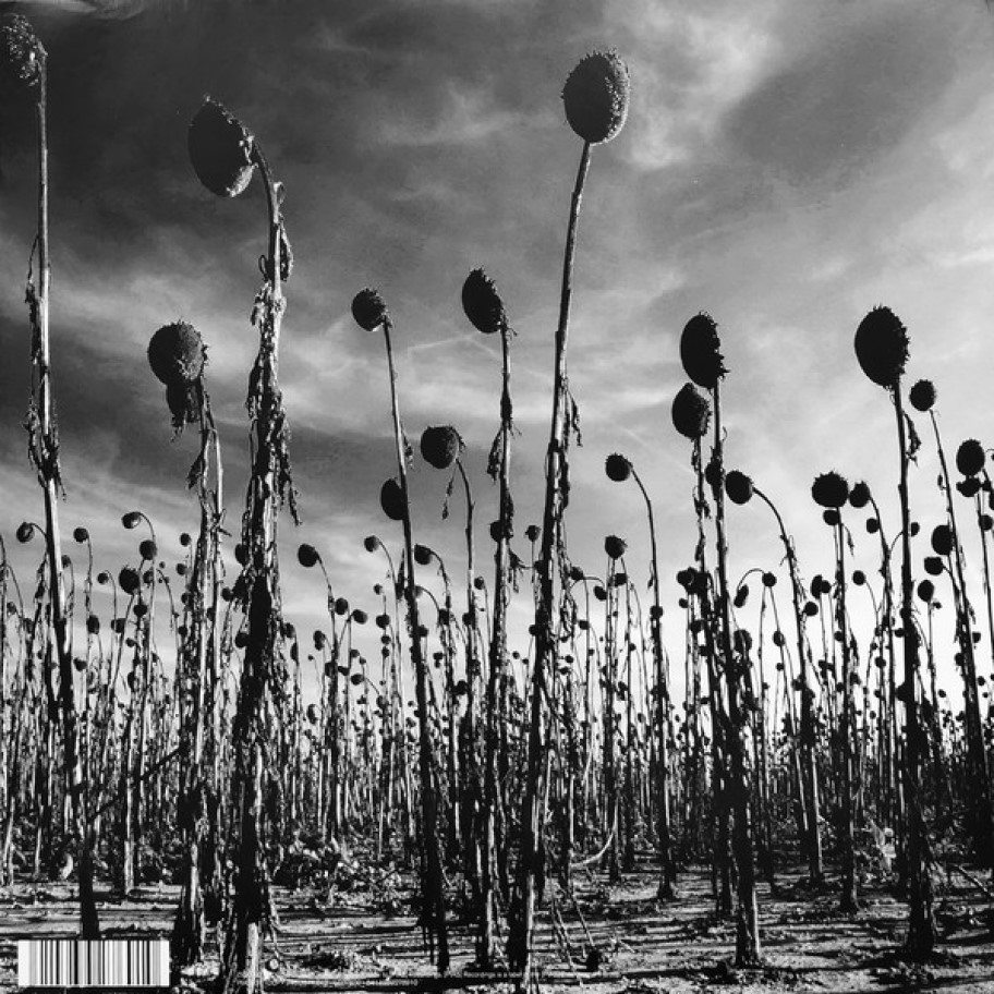 [45597] Dead Can Dance - Anastasis (2LP)