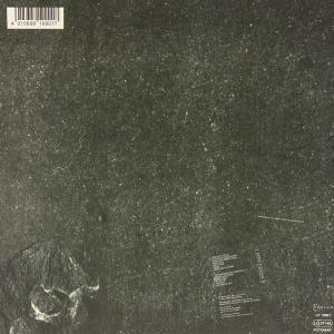 [19956] Einsturzende Neubauten - Zeichnungen Des Patienten (LP)