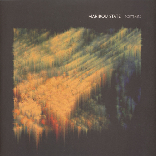 [55077] Maribou State - Portraits (LP)