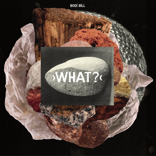 [558] Bodi Bill - What? (LP)