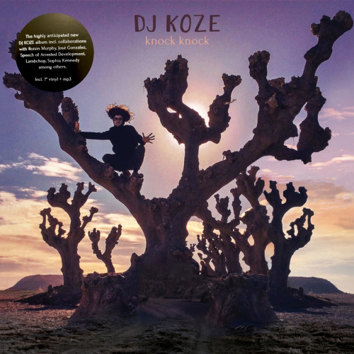 [1579] Dj Koze - Knock Knock (2 x 12" + 7'')