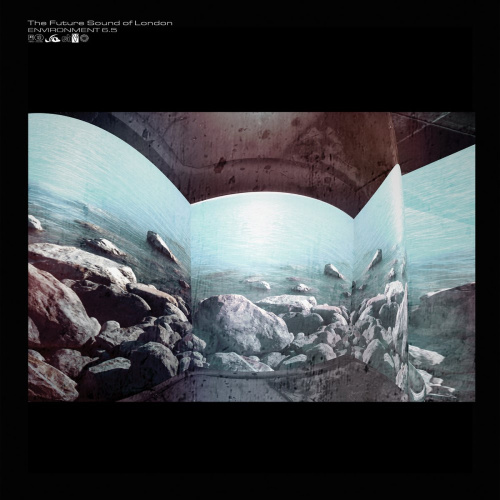 [17587] Future Sound Of London - Environments 6.5 (LP)