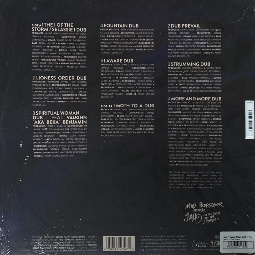 [10656] Mad Professor Meets Jah9 - In The Midst Of The Storm (LP)