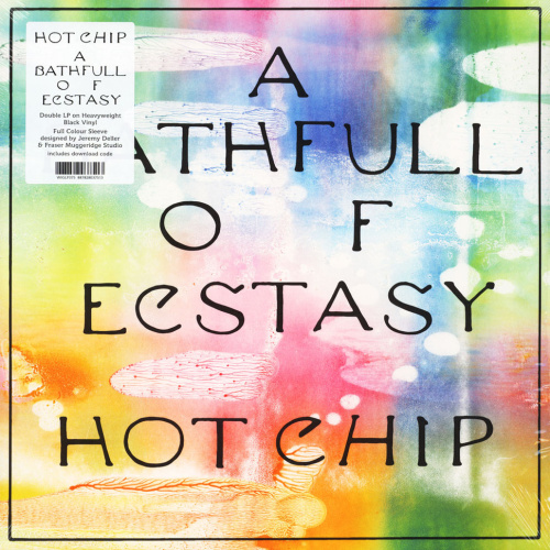 [43951] Hot Chip - A Bath Full Of Ecstasy (2LP)