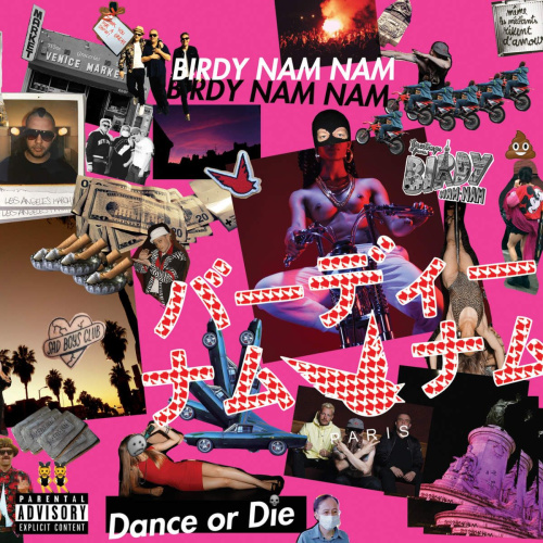 Birdy Nam Nam - Dance Or Die (2LP)