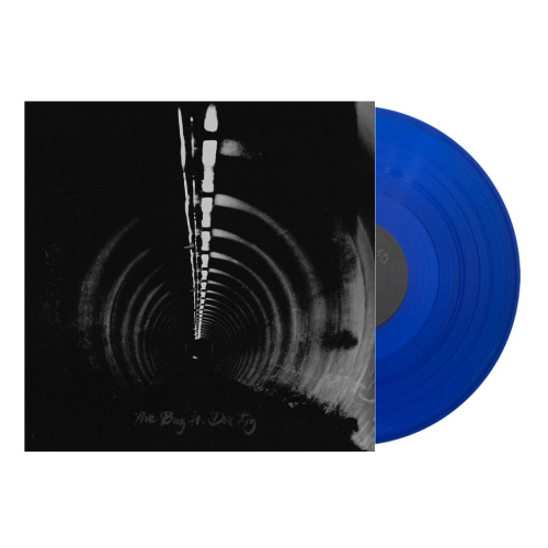 [43869] The Bug & Dis Fig - In Blue (2 x 12" | Blue)