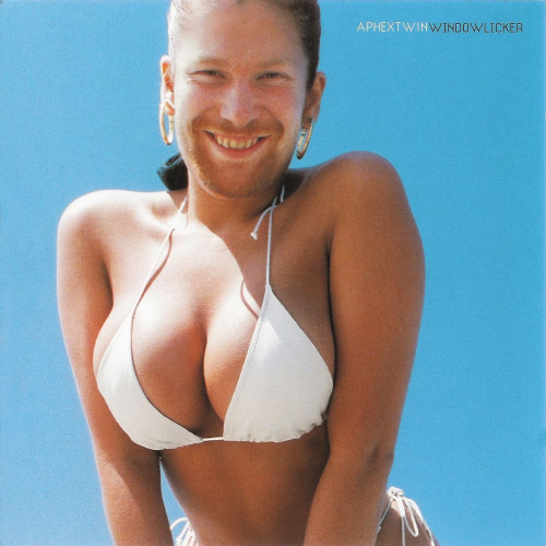 [17020] Aphex Twin - Windowlicker (12")