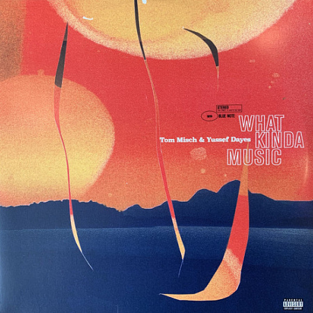 [30258] Tom Misch & Yussef Dayes - What Kinda Music (2LP)