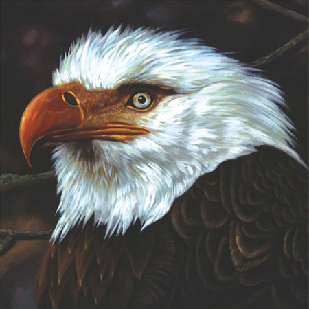 [3450] Mogwai - The Hawk Is Howling (2LP)