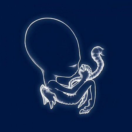 [13039] Sigur Rós - Agaetis Byrjun (2LP)