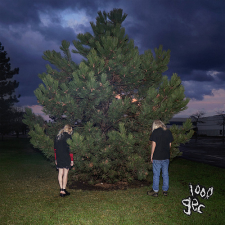 [36670] 100 Gecs - 1000 Gecs (LP | Yellow Piss)