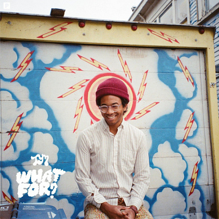 [21867] Toro Y Moi - What For (LP)