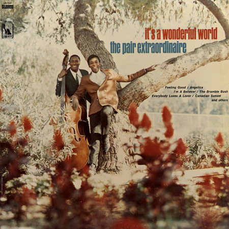 [35703] The Pair Extraordinaire - It's A Wonderful World (LP)