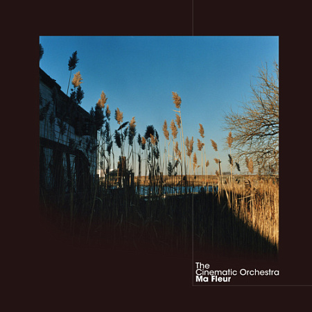 [19741] The Cinematic Orchestra - Ma Fleur (2LP | Clear)