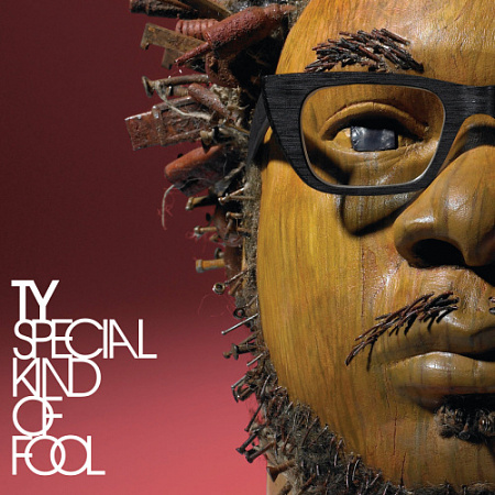 [14531] TY - Special Kind Of Fool (2LP)