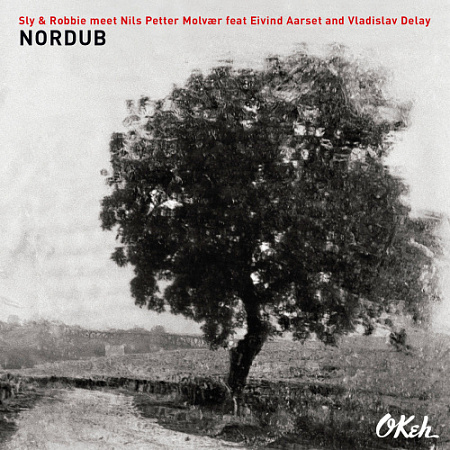 [23823] Sly & Robbie Meet Nils Petter Molvaer - Nordub (2LP)