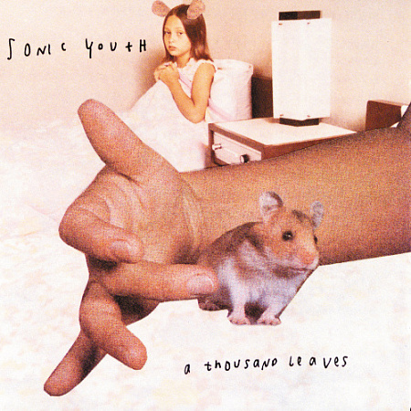 [4761] Sonic Youth - A Thousand Leaves (2LP)